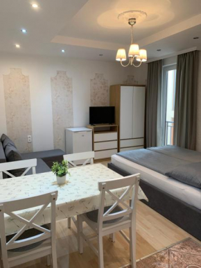Belvárosi Levendula Apartman Gyula
